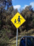 What can you meet on Australian roads